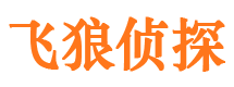 仪陇侦探公司